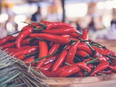 Chiliplanter: Sådan dyrker du chili om vinteren (inkl. 3 opbevaringsmuligheder)
