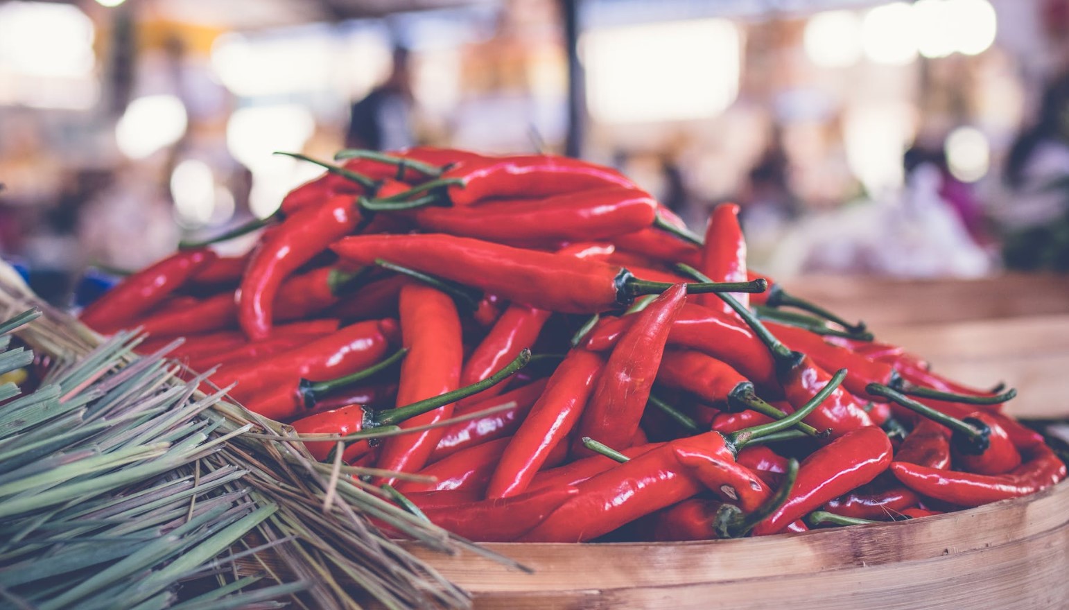 ordningen ugentlig Måned Chiliplanter: Sådan dyrker, høster og opbevarer du chili om vinteren •  Maries Verden